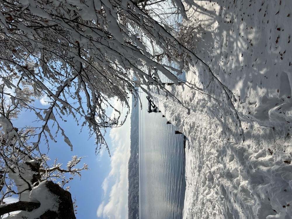 Schneebedeckte Bäume am See bei blauem Himmel