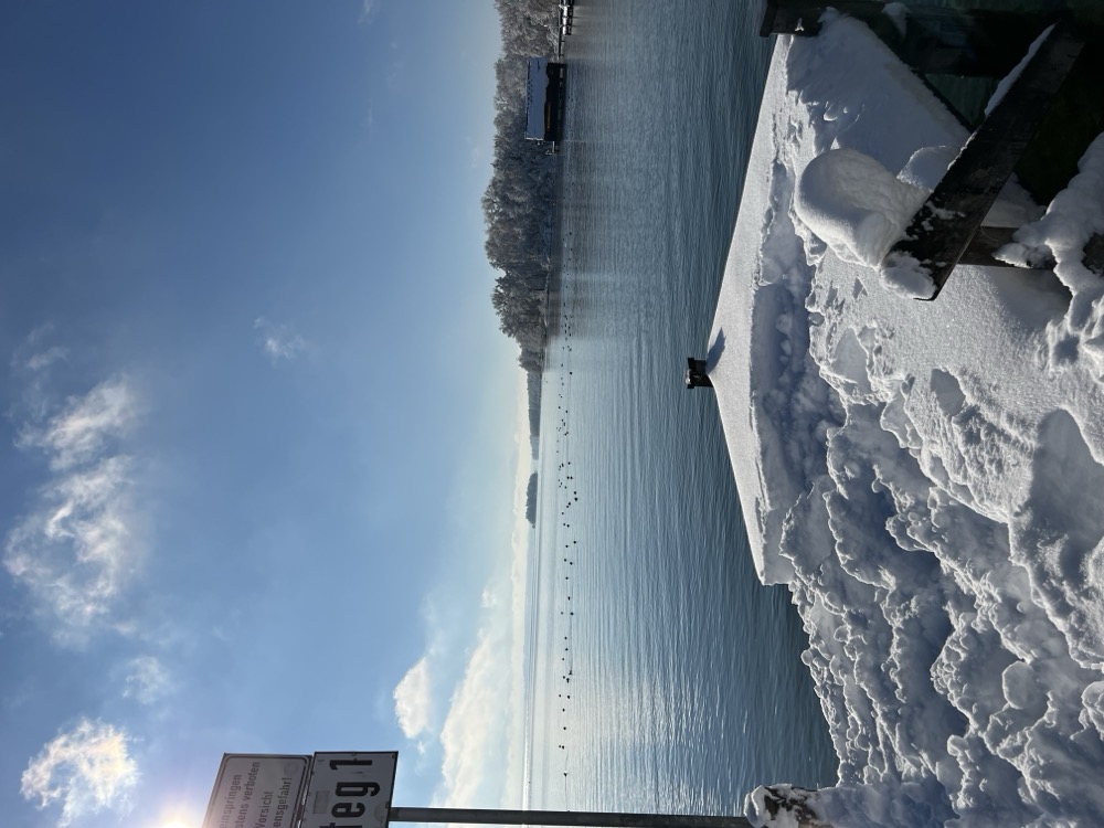 Steg und Bäume in tiefem Schnee