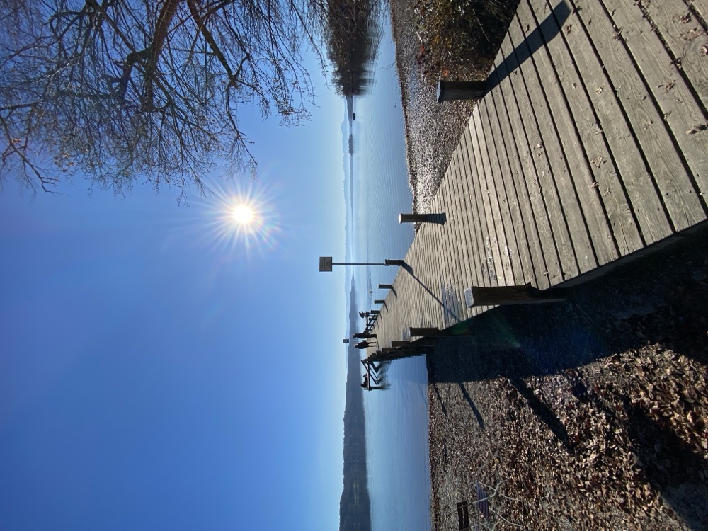 Winterliche Morgensonne durch Bäume am Steg